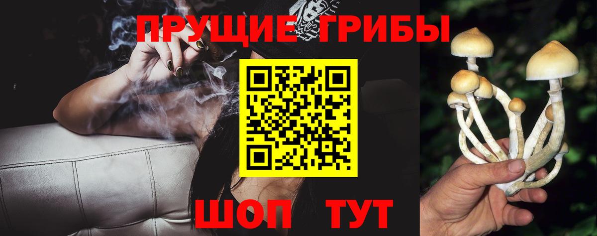 A PVP СК кристаллы  Гашиш  Конопля  Меф МЯУ МЯУ   Кокаин  Вход с VPN  МЕФ  Сланцы  Купить наркотики цена 