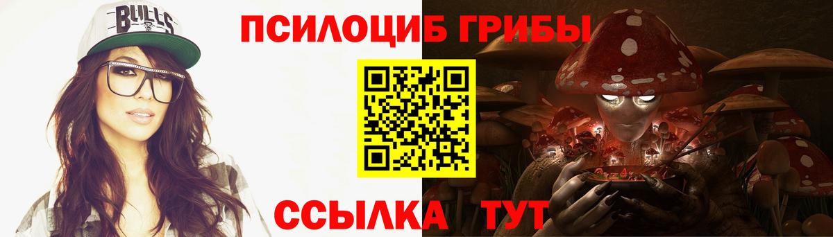 Сланцы  Псилоцибиновые грибы ЛСД  Вход с VPN 